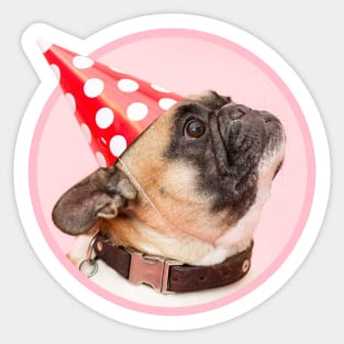 Pug Birthday Party Sticker